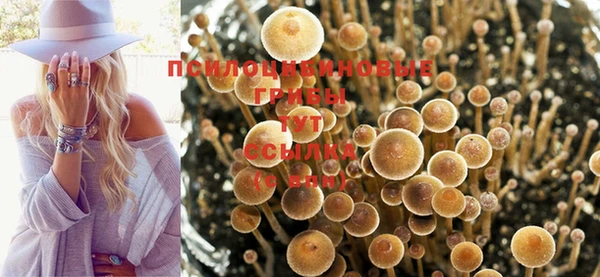 кокаин перу Алексин