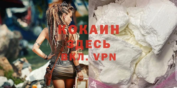 твердый Алзамай
